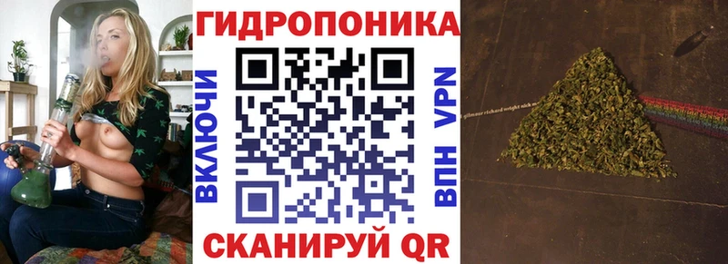 Магазин наркотиков Болотное Гашиш  СОЛЬ  Амфетамин  МАРИХУАНА  кракен как зайти  МЕФ  Кокаин 