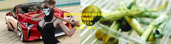 гидропоника Абдулино