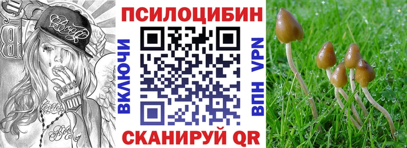 mega рабочий сайт  Болотное  Галлюциногенные грибы прущие грибы 